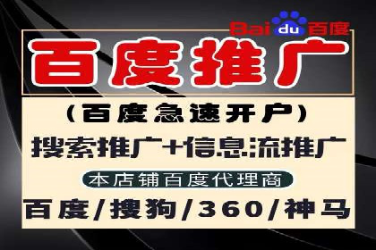 某零售业SEM策略调整，实现销售业绩大增